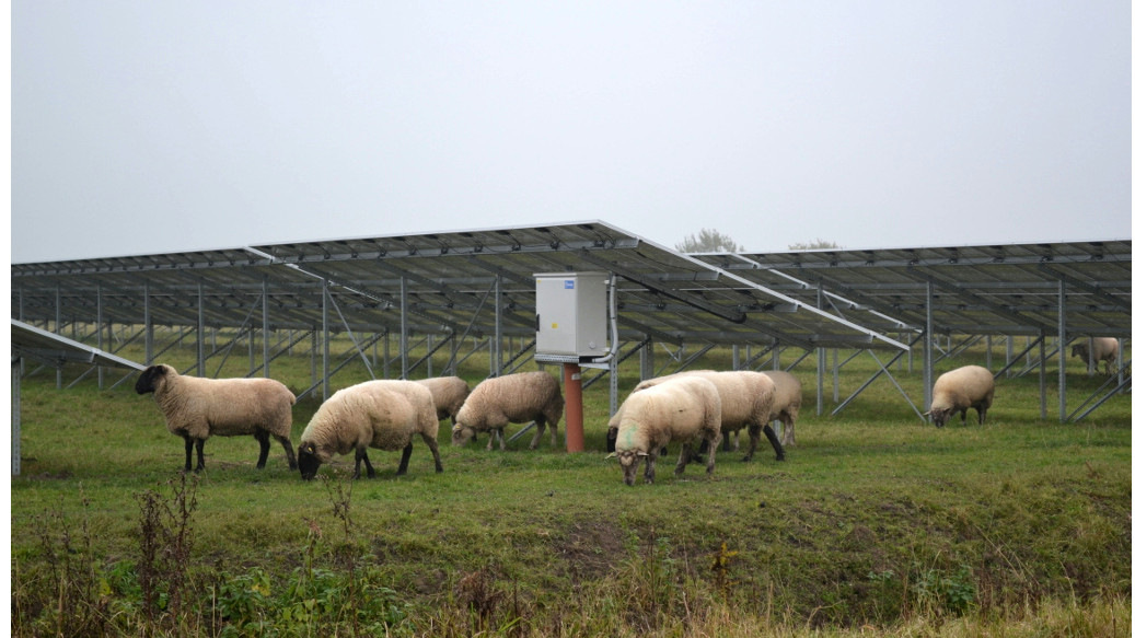 Agri-PV-Projekt mit 48 Megawatt Leistung entsteht auf Sardinien