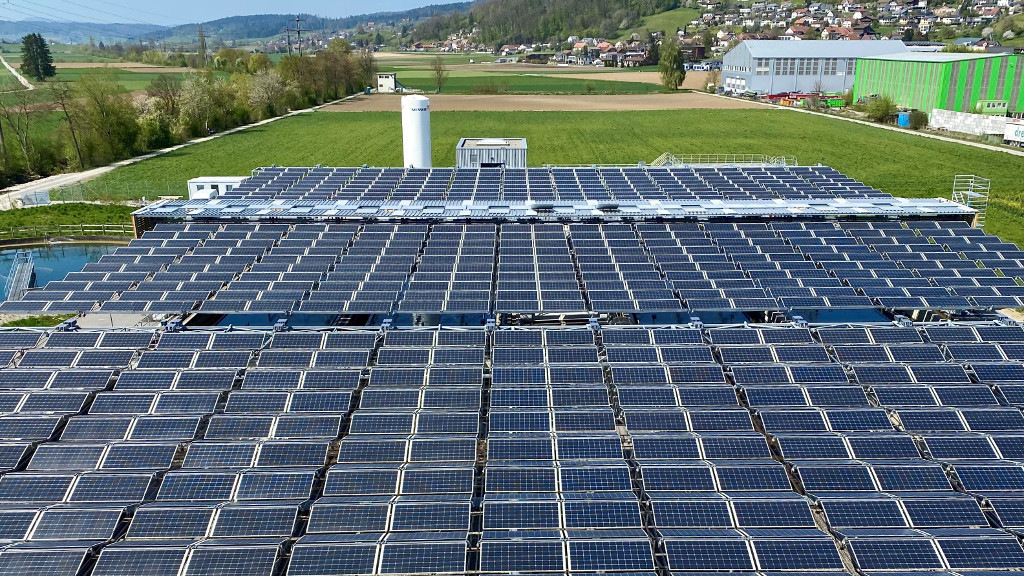 Schweiz: Solarverbände unterstützen die Gründung von Energiegenossenschaften