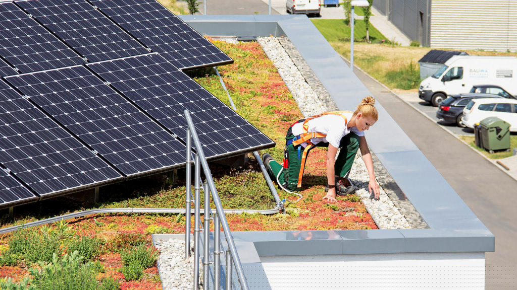 Solare Gründächer und GlasGlasModule mit abZ photovoltaik