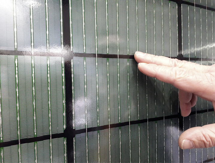 Rückseitige Kontaktierung der ABC-Zellen in den neuen Solarmodulen von Aiko Solar. - © Foto: Heiko Schwarzburger
