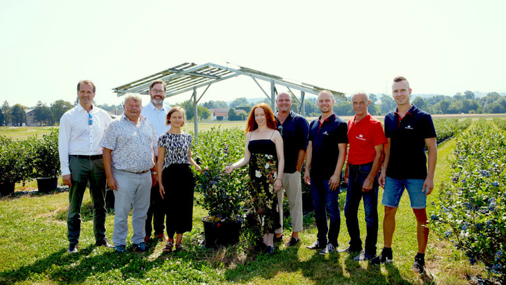 Ein Modell der Anlage steht schon. Ab August beginnen die Arbeiten für die solare Überdachung des Heidelbeerfeldes in Bodensdorf - © RWA