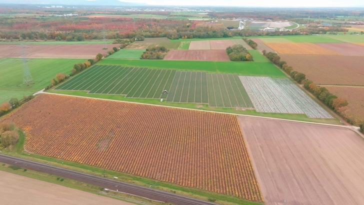 Das Flurstück, auf dem der geplante Solarpark entstehen soll. - © Solar Direktinvest