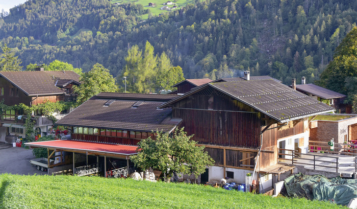 Der Kristahof in Vorarlberg: Dieses Gebäude wurde neu eingedeckt und mit Photovoltaik ausgestattet. - © Foto: Darvid Huhn Der Kristahof in Vorarlberg: Dieses Gebäude wurde neu eingedeckt und mit Photovoltaik ausgestattet.