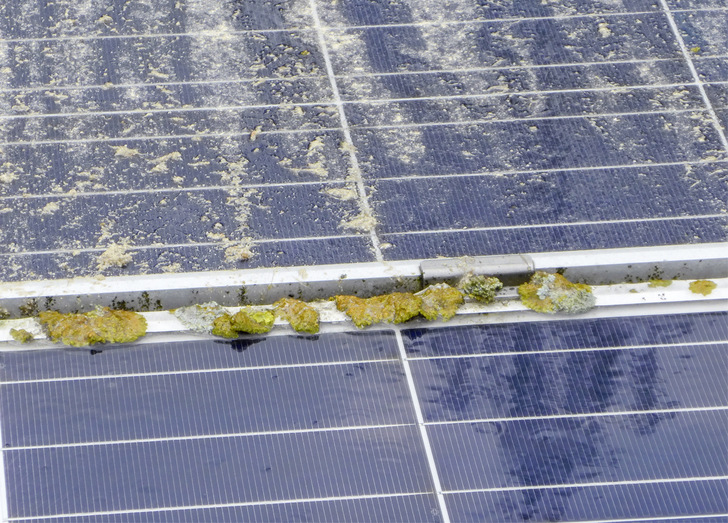 Bei der regelmäßigen Durchsicht fallen solche Problemstellen sofort auf. - © Foto: Mattstedt Bei der regelmäßigen Durchsicht fallen solche Problemstellen sofort auf.