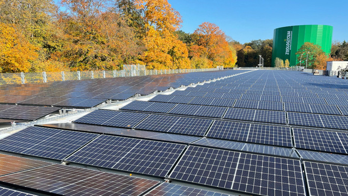 © Sonepar Die neue Solaranlage für den Zoo Hannover war innerhalb von weniger als vier Wochen fertig.
