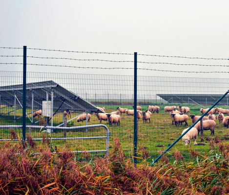© Foto: Velka Botička Ein Zaun sollte Übersteigschutz haben.  Absolute Sicherheit bietet aber auch das nicht. 
Doch: Wenn der Zaun überstiegen wird, liegt eine Straftat vor.