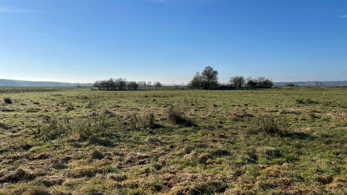 © GMC Eine Moortestfläche in Mecklenburg-Vorpommern.