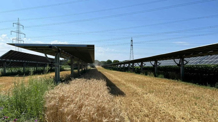 © EWS Sonnenfeld Wenn Photovoltaik auf Ackerflächen gebaut wird, sollte dies möglichst so geschehen, dass die landwirtschaftliche Nutzung erhalten bleibt.