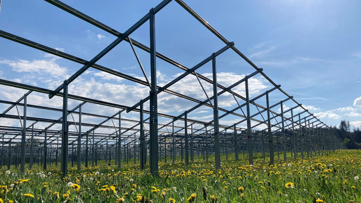 © Nestlé Deutschland Die Aufständerung der Module ist so hoch, dass auch bequem die Kühe von Landwirt Gerhard Metz darunterpassen.