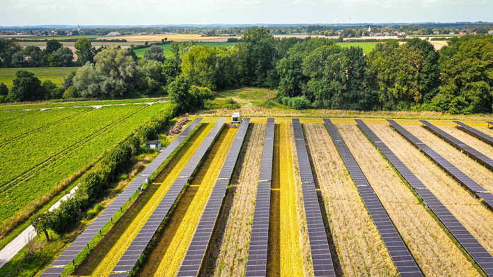 © Gridparity Durch die Tracker kann der Landwirt die Fläche fast komplett weiterhin für den Ackerbau nutzen.