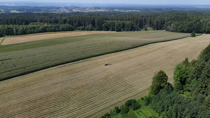 © Solmotion Noch bewirtschaftet der Landwirt die Fläche ohne Photovoltaik. Durch die Agri-PV wird er aber auch nach dem Bau der Anlage das Areal weiterhin für den Ackerbau nutzen können.