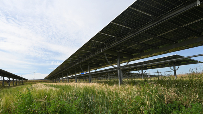 © Velka Botička Mit dem Bau von Trackern holt Goldbeck Solar mehr Ertrag aus den Modulen und ermöglicht die landwirtschaftliche Nutzung der Fläche.